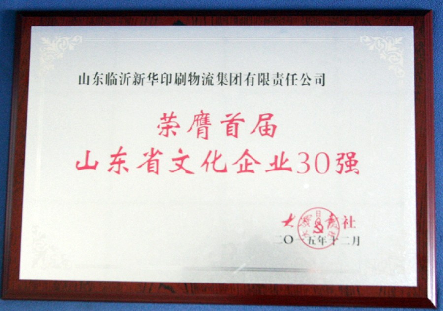 臨沂新華集團榮獲首屆“山東省文化企業(yè)30強”榮譽稱號 第 2 張